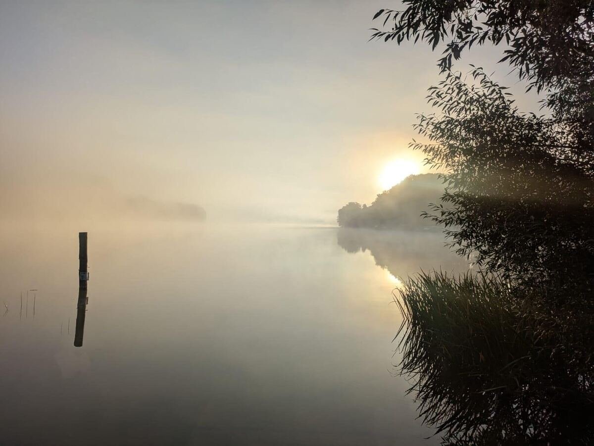 Morgennebel am Seeufer, Campingplatz Flecken Zechlin