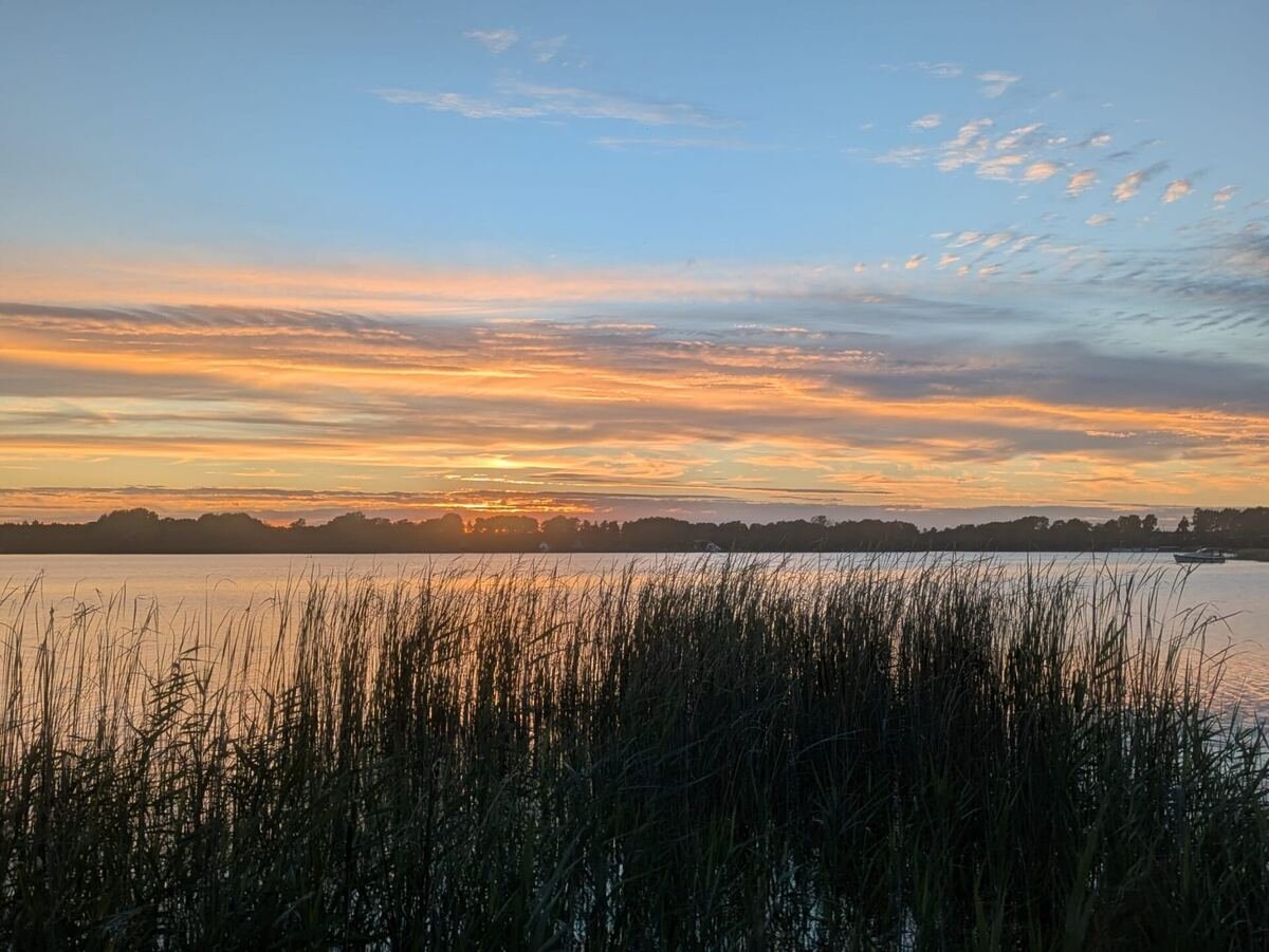 Panorama: Schilf und Sonnenuntergang am Großen Zechliner See